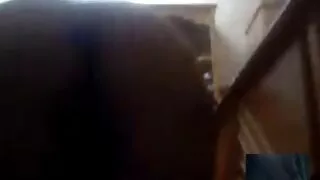 Uz gultas fuck jauna brunete, vēžveidīgo