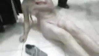 Jauns cāli un nobriedusi tante nāk pie puisis gailis.