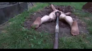 Fucked ar jaunu cieto boner