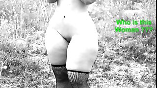 Anālais porno