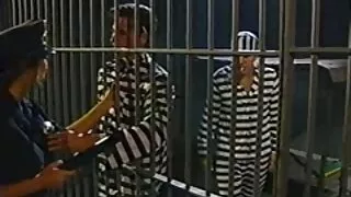 Pilnībā apguvis prasmi izjādes gailis