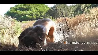 Rudmatis putana rubs caurumi ar dildo